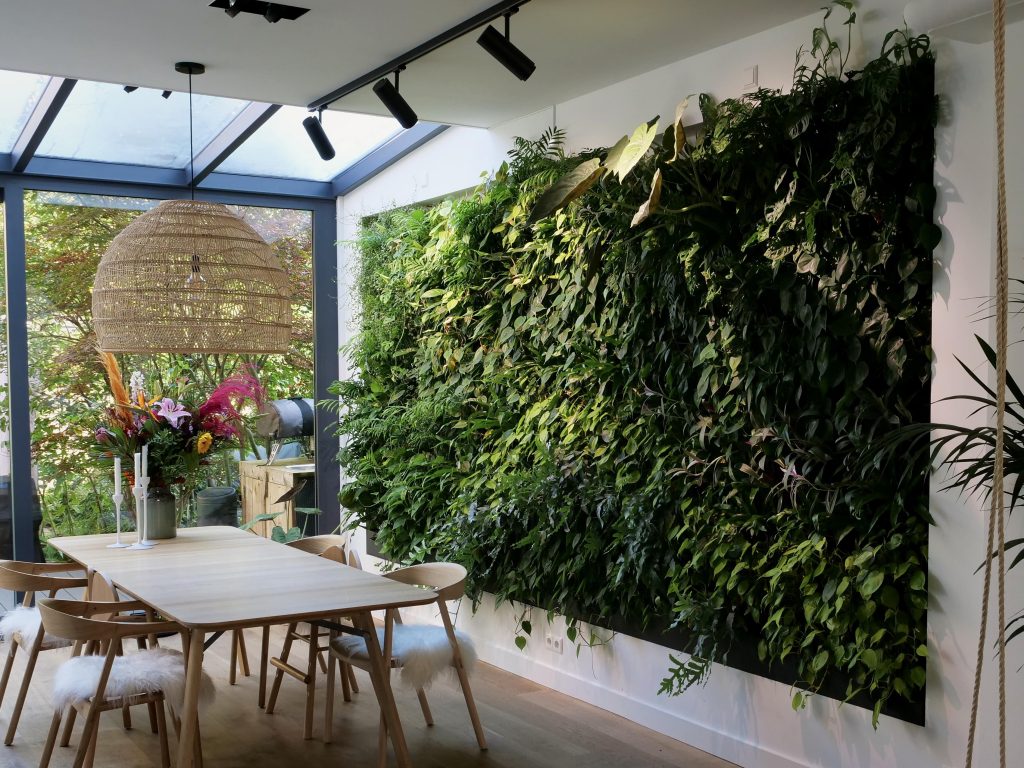 Schijn Fraude goochelaar Deze levende plantenwand zorgt voor een prachtige groene keuken! - Vertical  Gardens