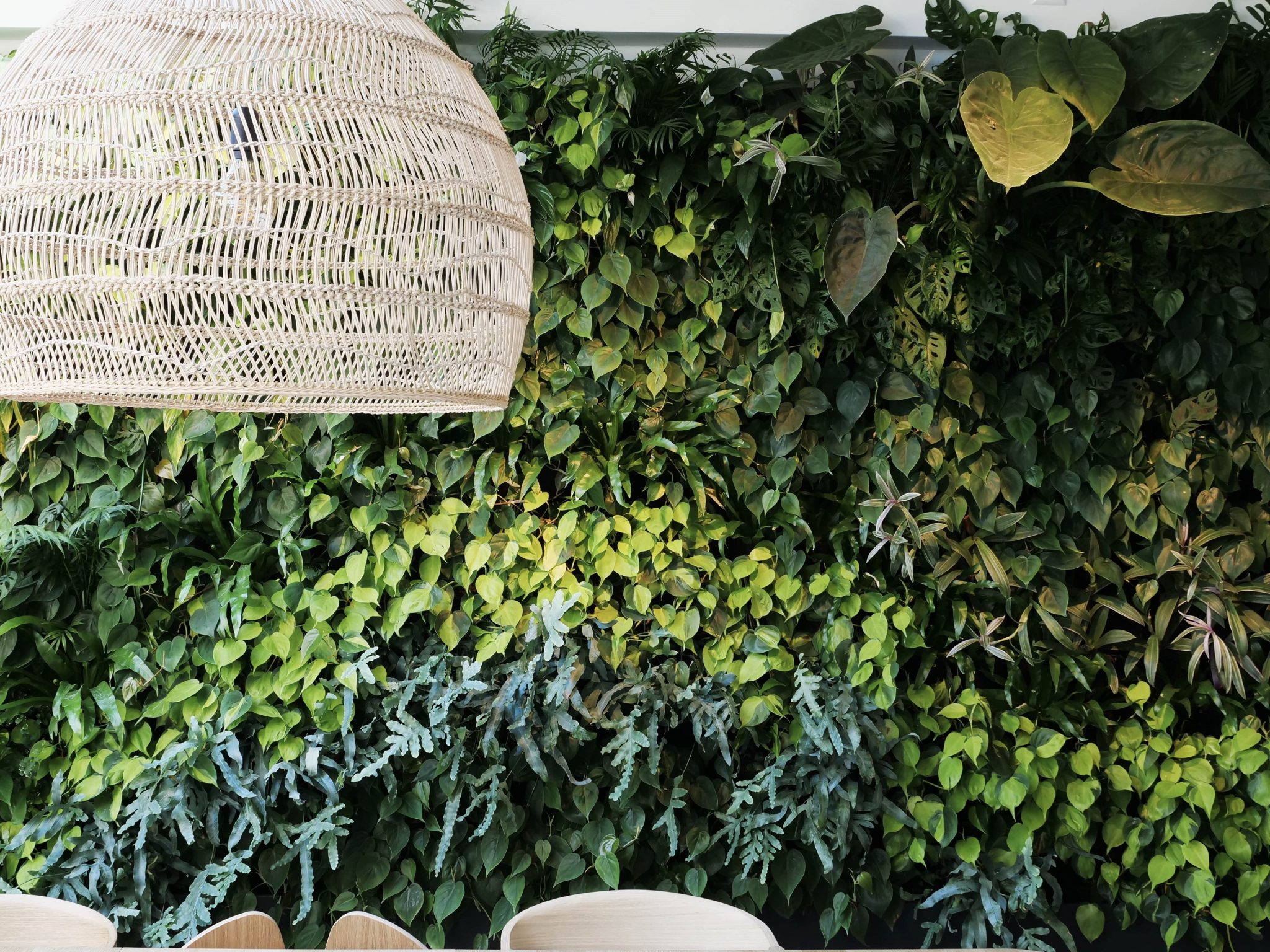 Deze Levende Plantenwand Zorgt Voor Een Prachtige Groene Keuken 