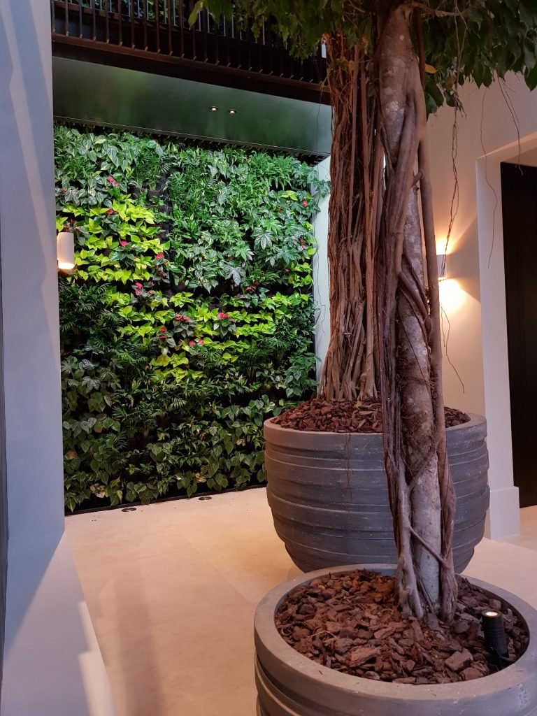 Living wall office