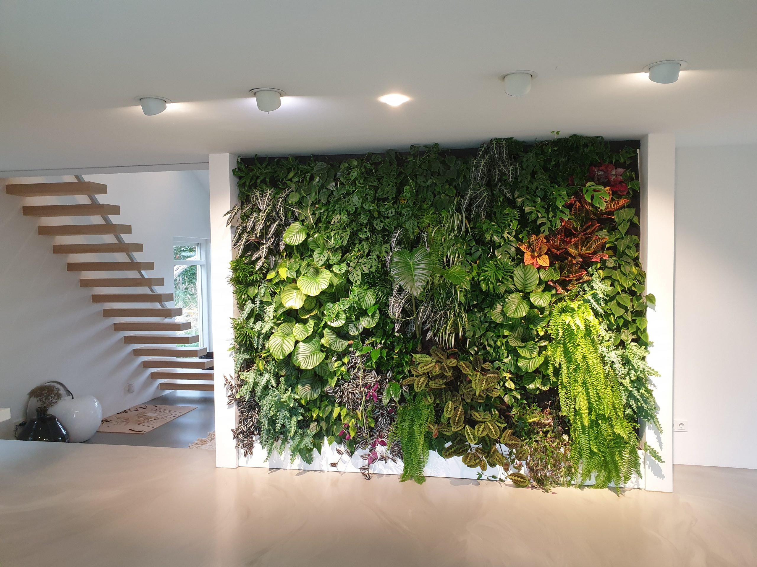 Ter ere van Mooie jurk Kennis maken Deze levende plantenwand zorgt voor een prachtige groene keuken! - Vertical  Gardens