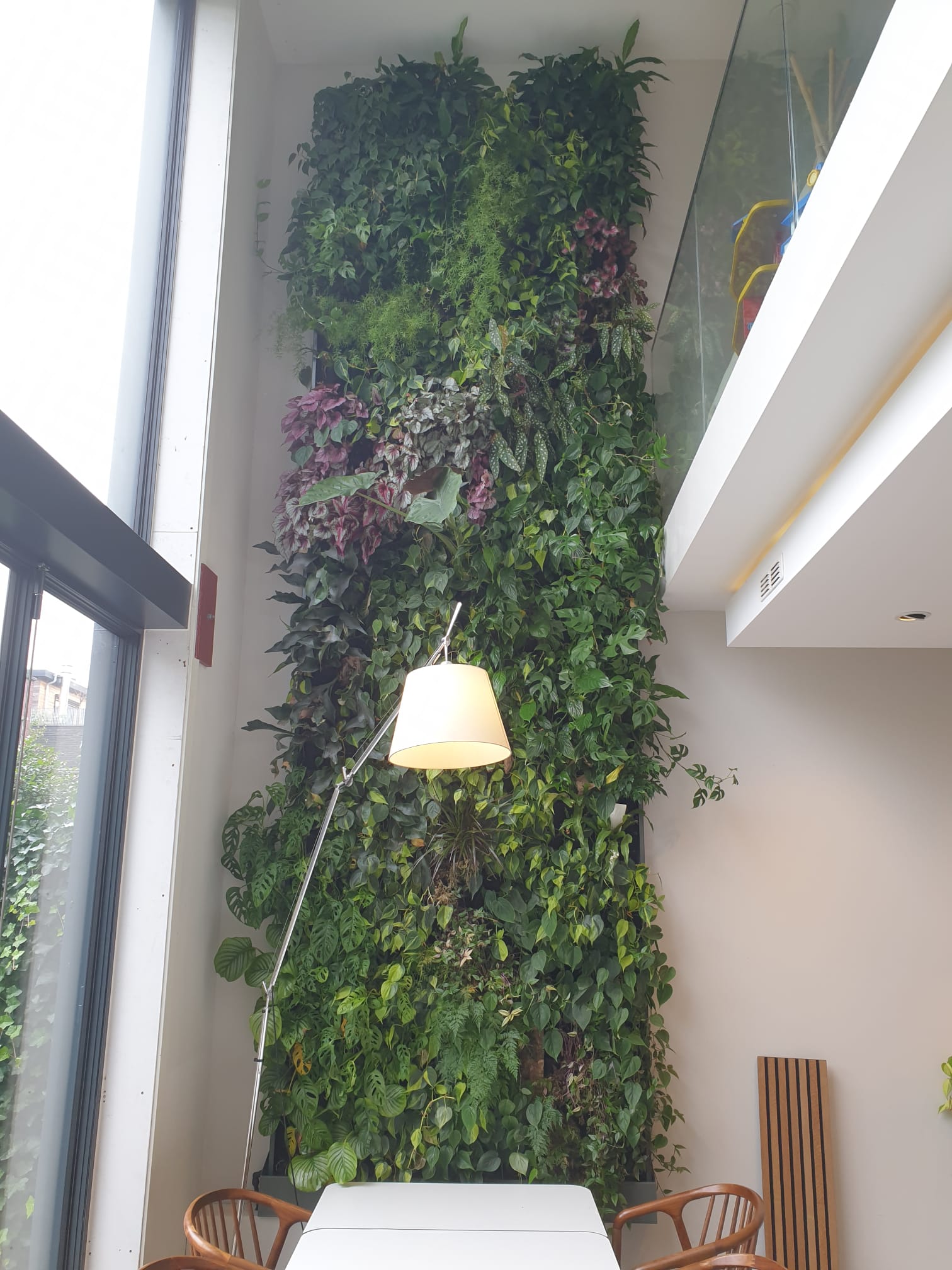 Reserveren visie Flash Deze levende plantenwand zorgt voor een prachtige groene keuken! - Vertical  Gardens