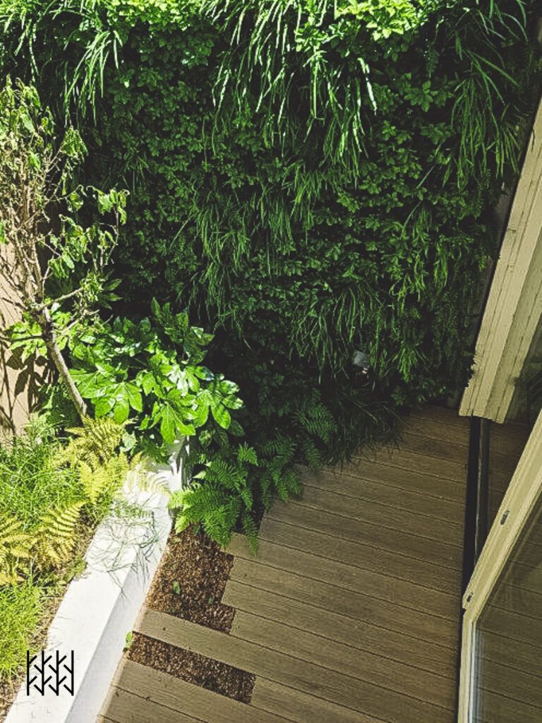 Green wall zorgt voor groene oase kleine achtertuin Utrecht